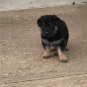 Meet your Posher, Jaclynn